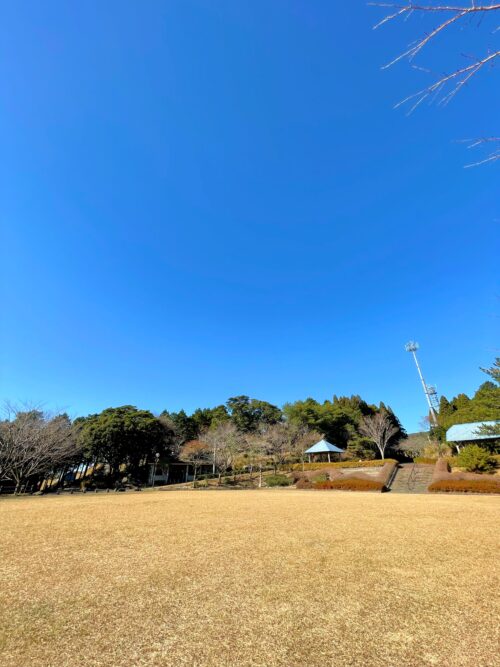 八重山公園キャンプ村多目的広場