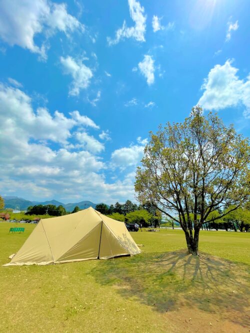 サバティカルスカイパイロットTC