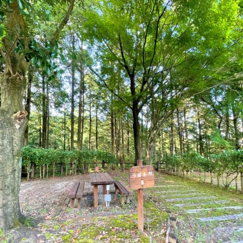 鹿児島県県民の森丹生附(にっけ)オートキャンプ場つばき村