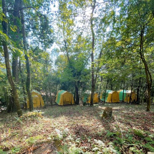 花房峡憩いの森キャンプ場にある常設テント