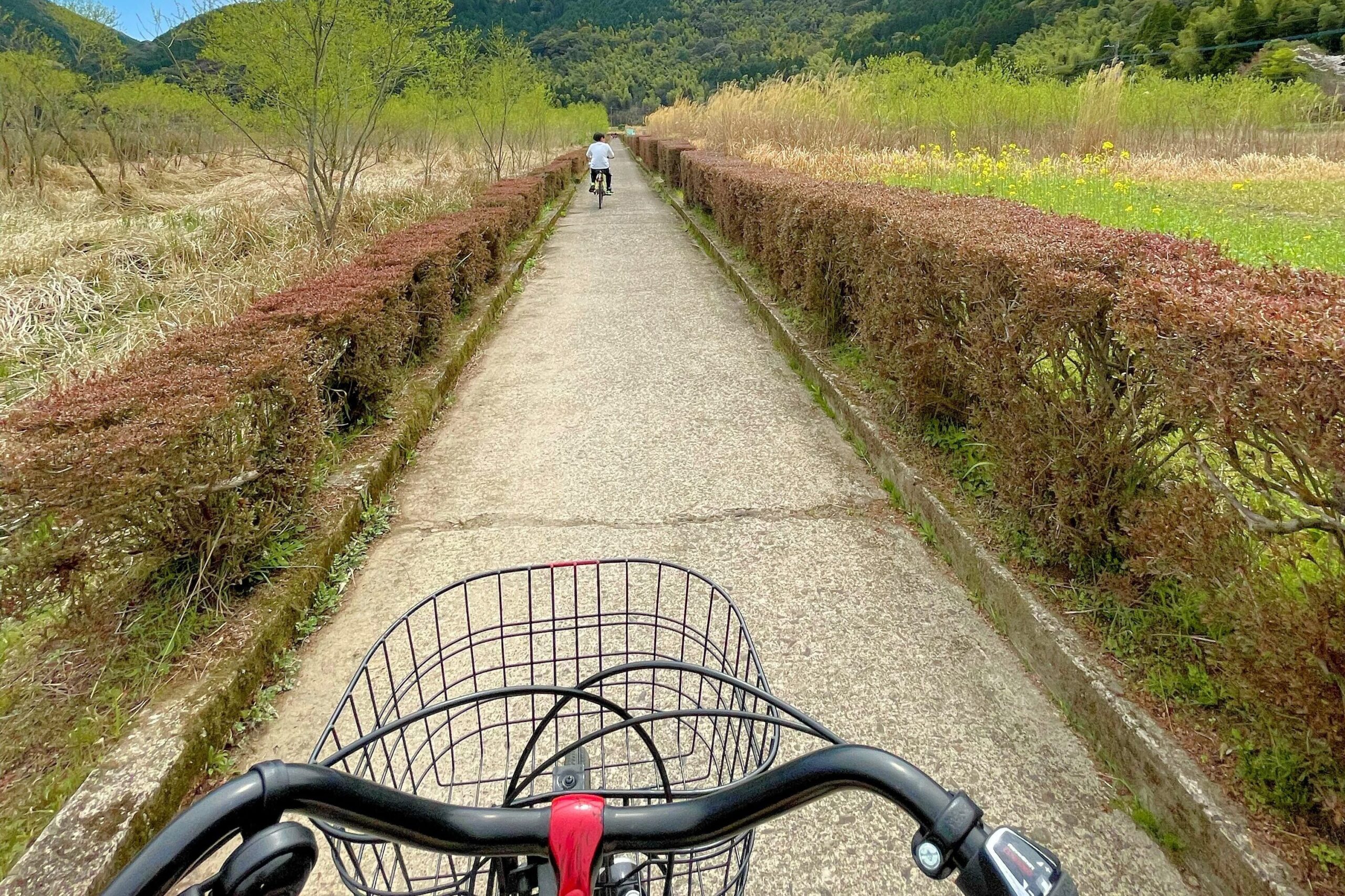 藺牟田池周辺を自転車で走っているところ