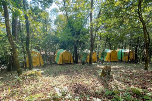 花房峡憩いの森キャンプ場常設テント