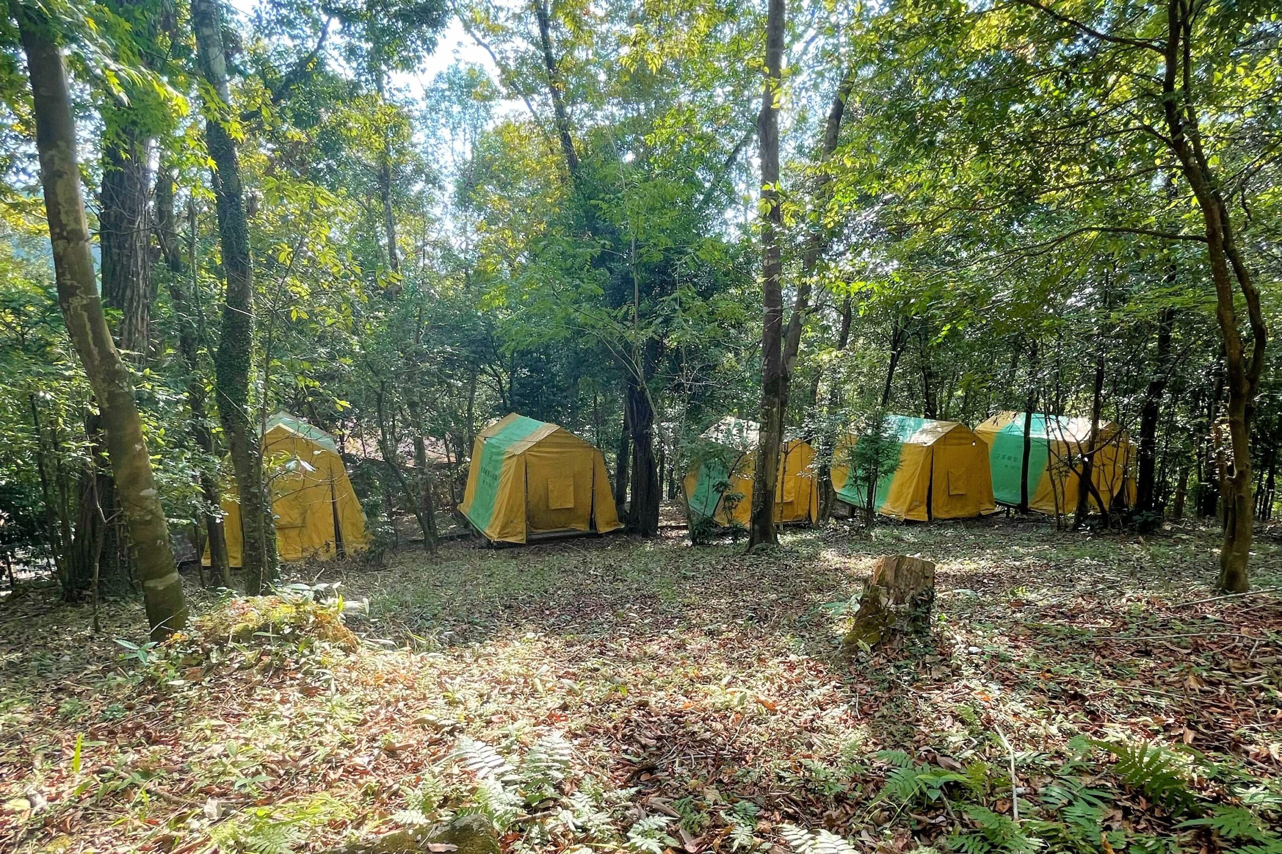 花房峡憩いの森キャンプ場にある常設テント