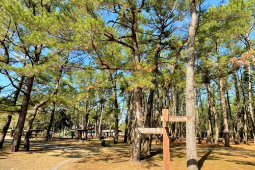 吹上浜海浜公園キャンプ場