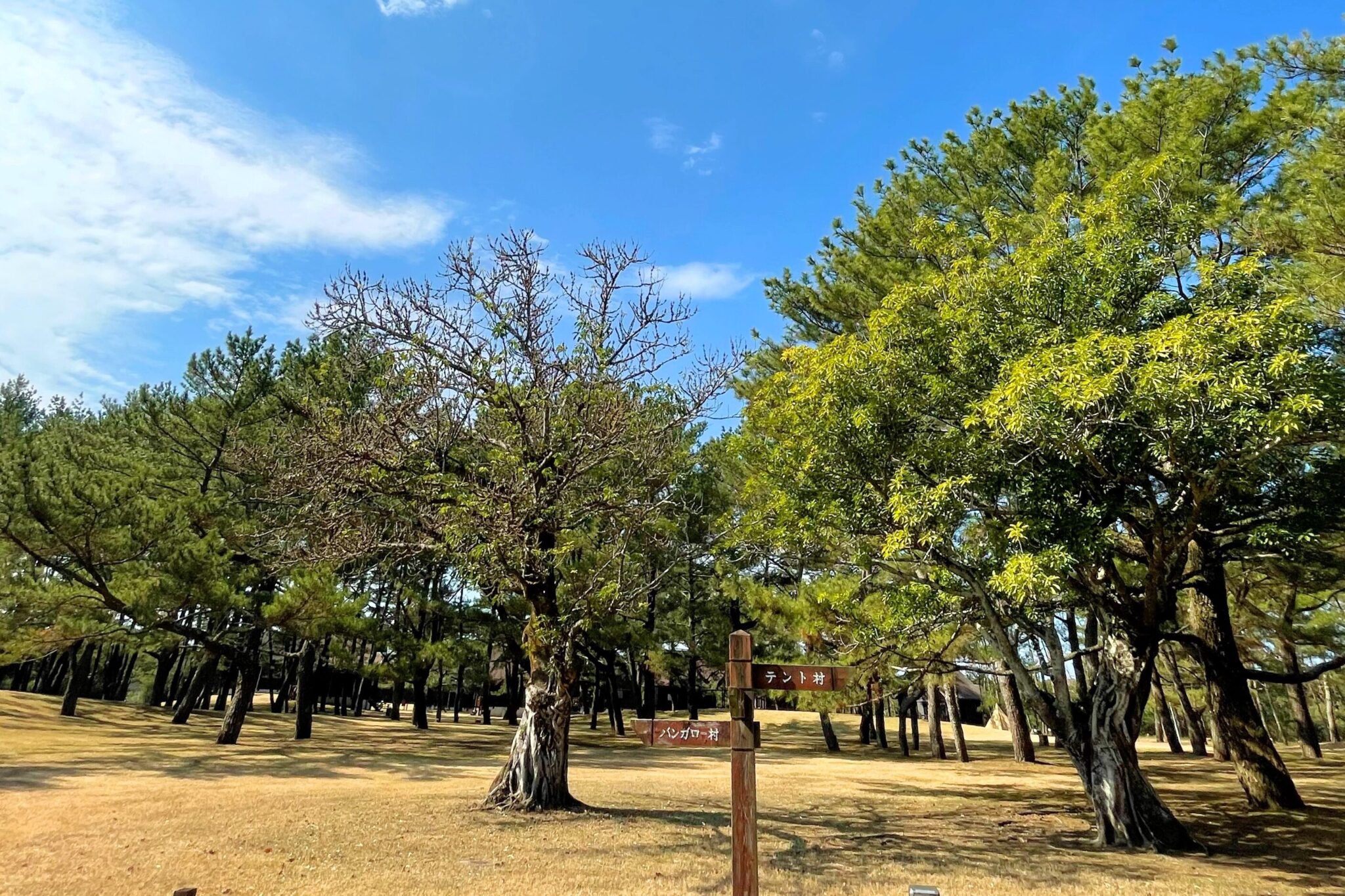 「吹上浜海浜公園キャンプ場」バンガローや近くに温泉もある鹿児島おすすめ南さつま市観光スポット