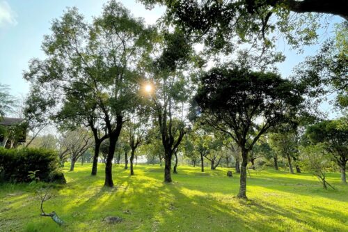 かいもん山麓ふれあい公園キャンプ場にあるレクリエーション広場