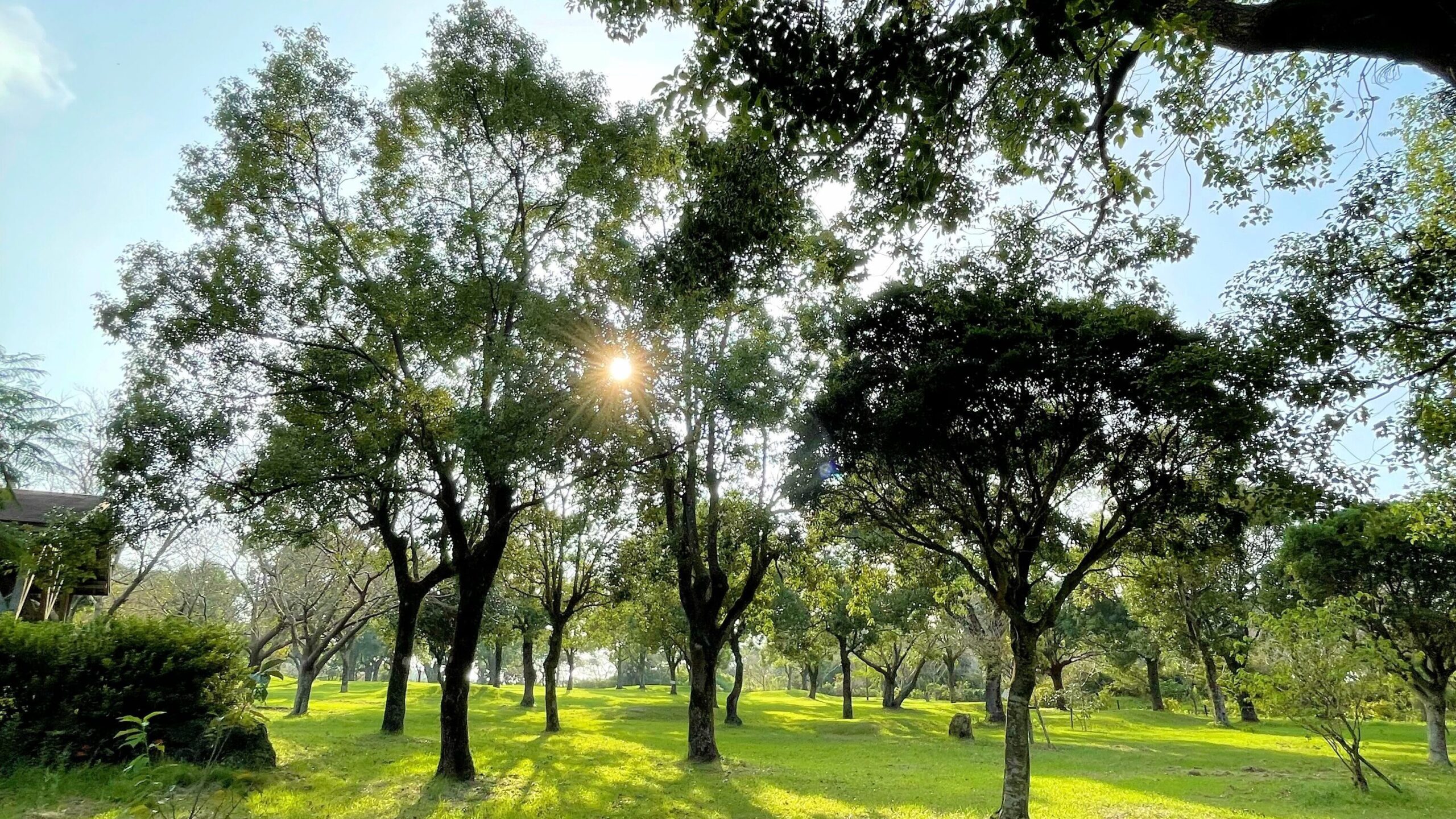 かいもん山麓ふれあい公園キャンプ場にあるレクリエーション広場