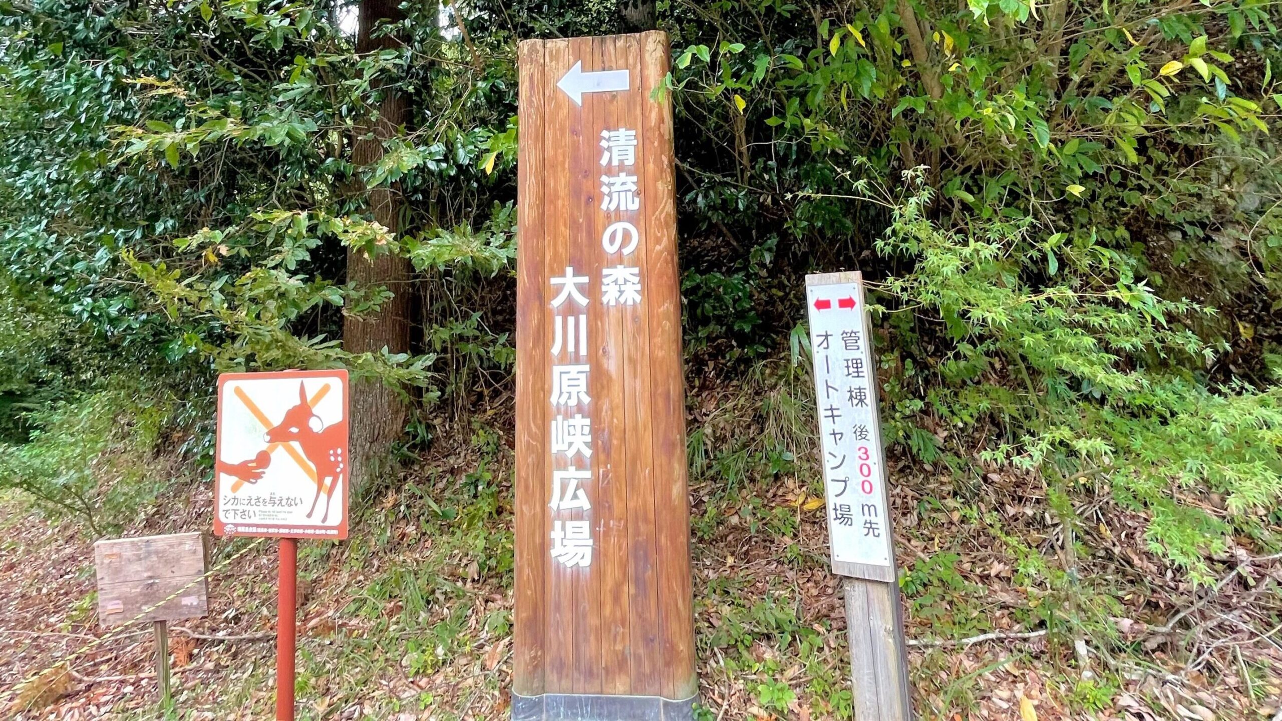 清流の森大川原峡キャンプ場看板