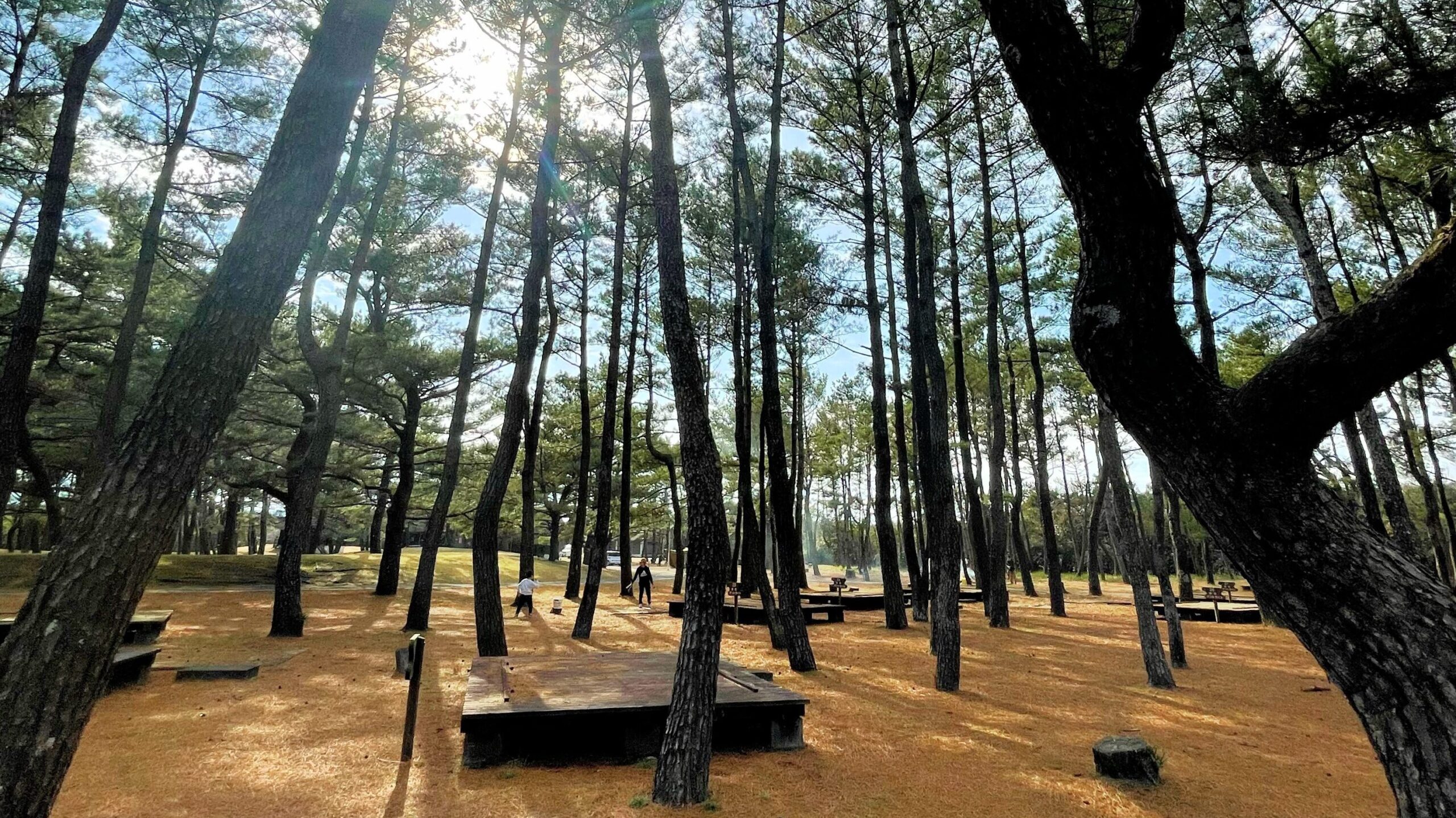 吹上浜海浜公園キャンプ場デッキサイト