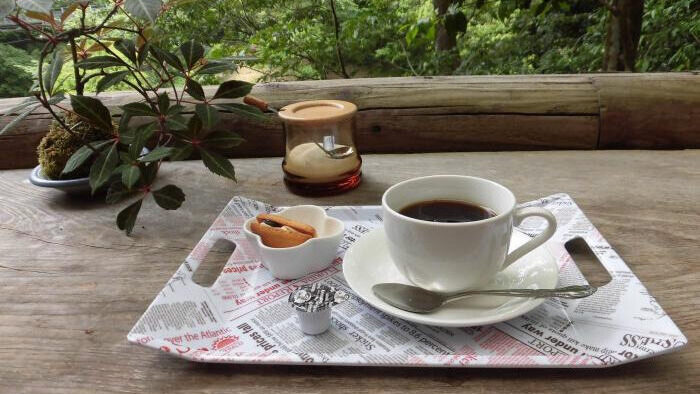 さえずりの森キャンプ場管理棟内の森のカフェグリーンウッド