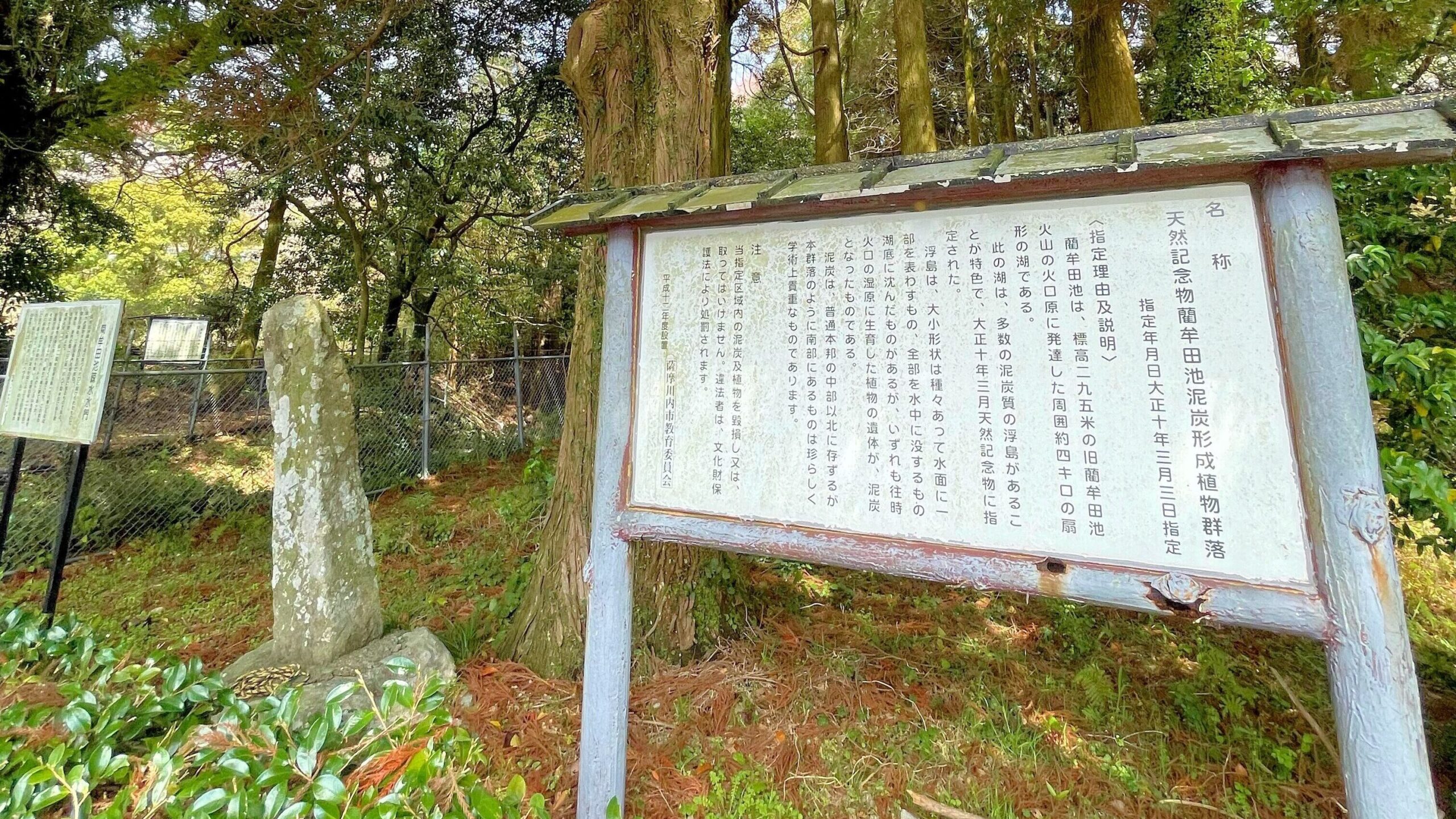 天然記念物藺牟田池泥炭形成植物群落の看板