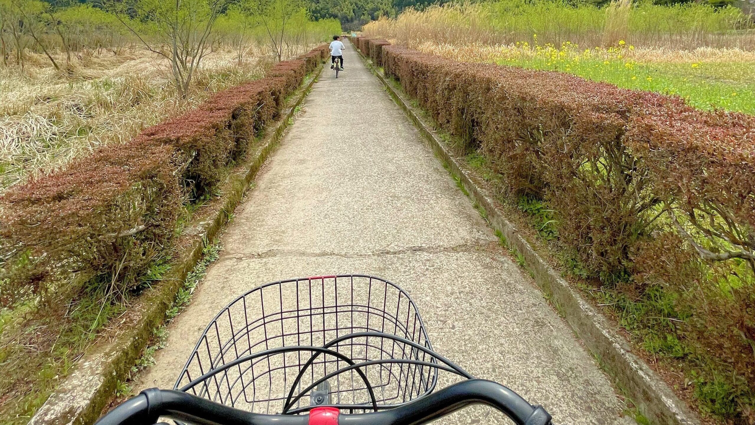 藺牟田池周辺を自転車で走っているところ