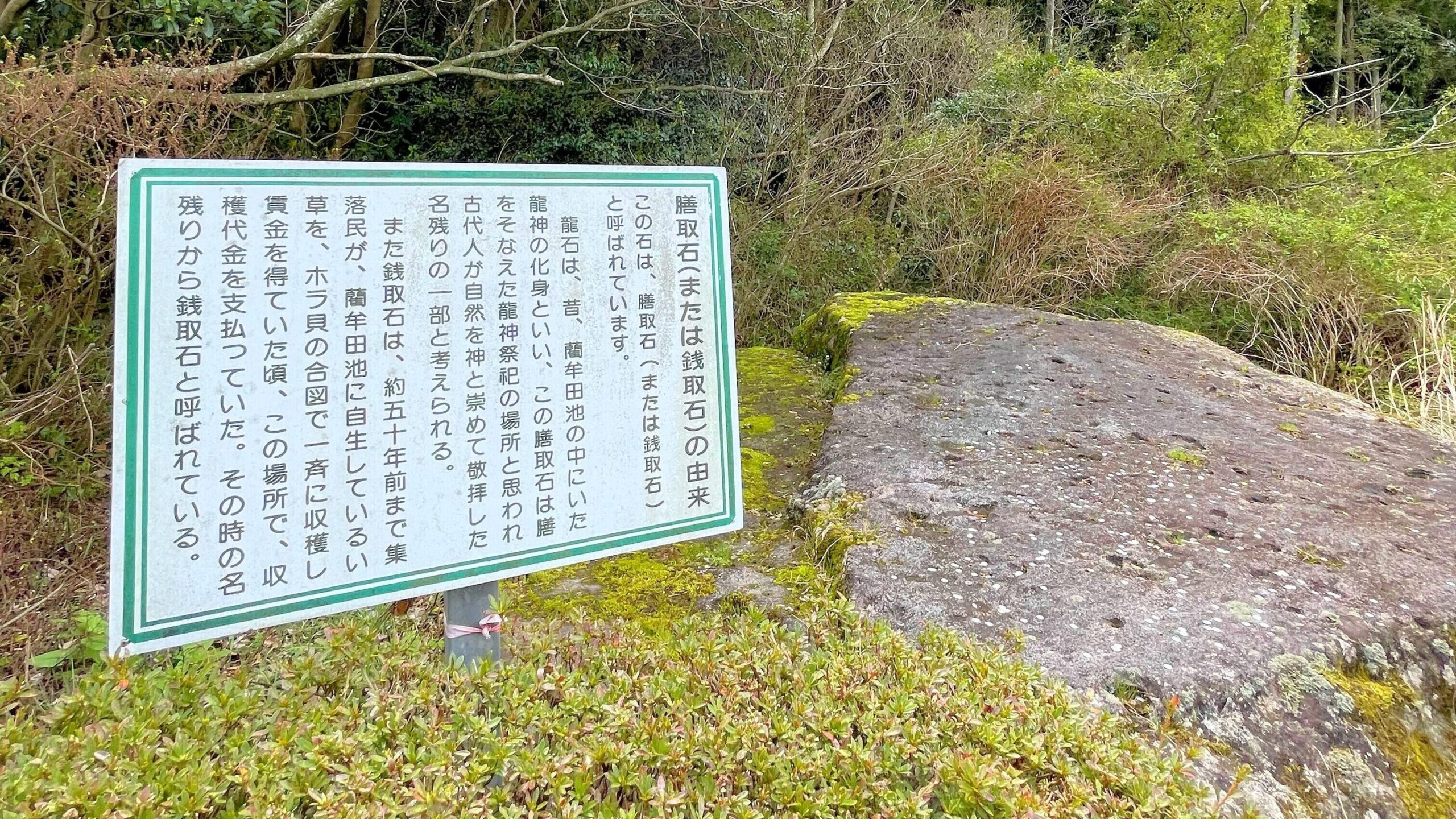 藺牟田池膳取石(銭取石)と看板