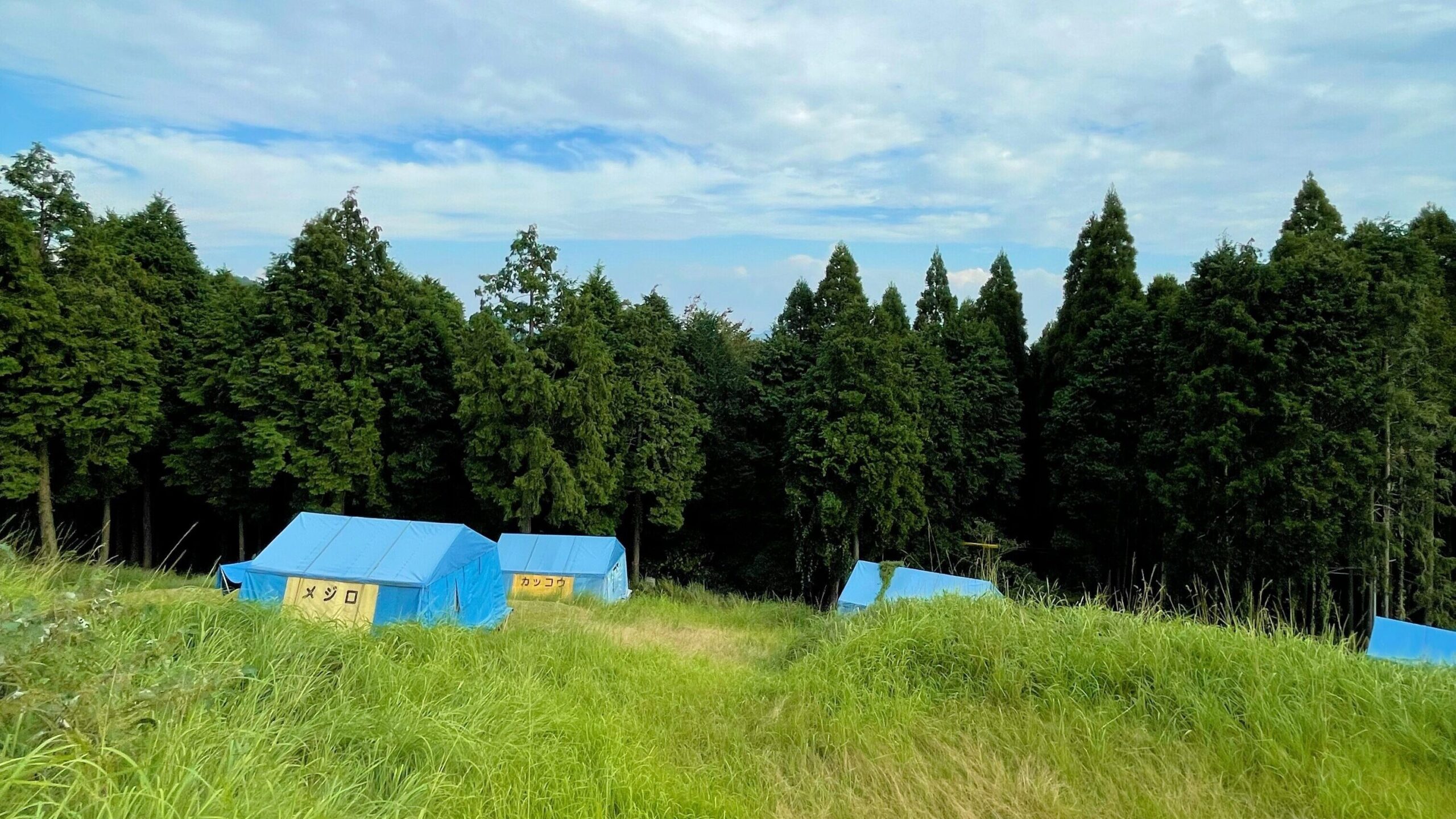 八重山公園キャンプ村常設テント