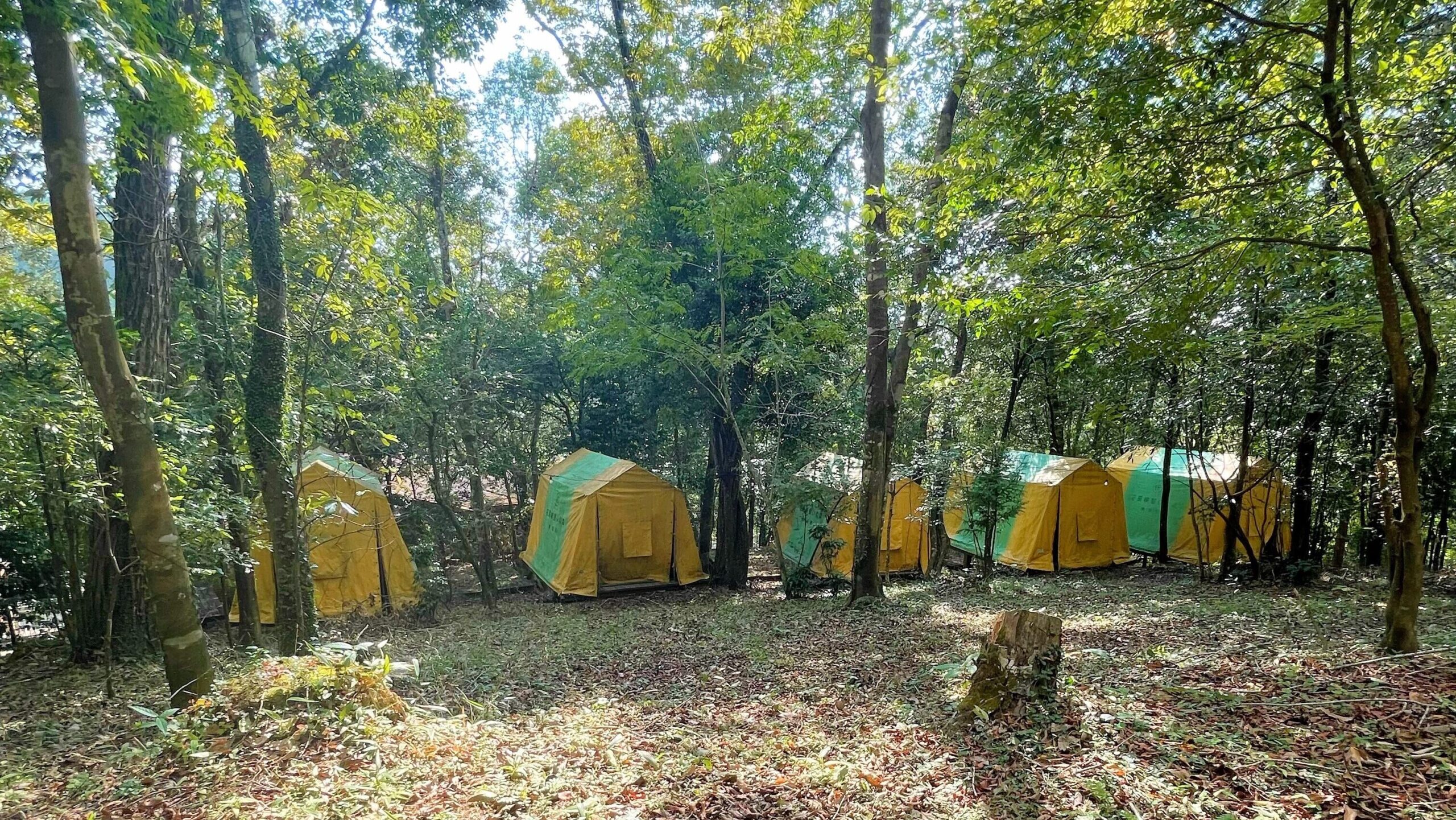 花房峡憩いの森キャンプ場常設テント