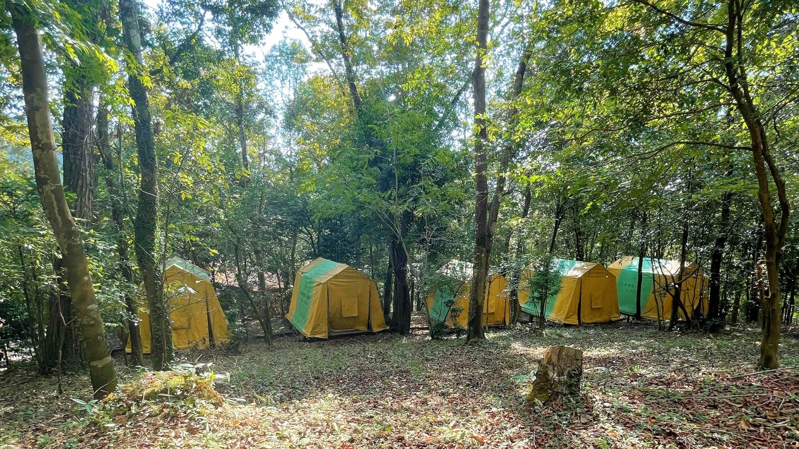 花房峡憩いの森キャンプ場にある常設テント
