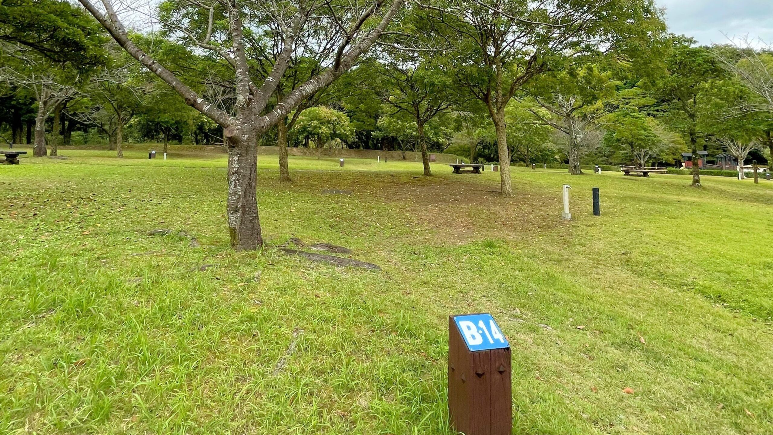 大隅広域公園キャンプ場オートキャンプサイト