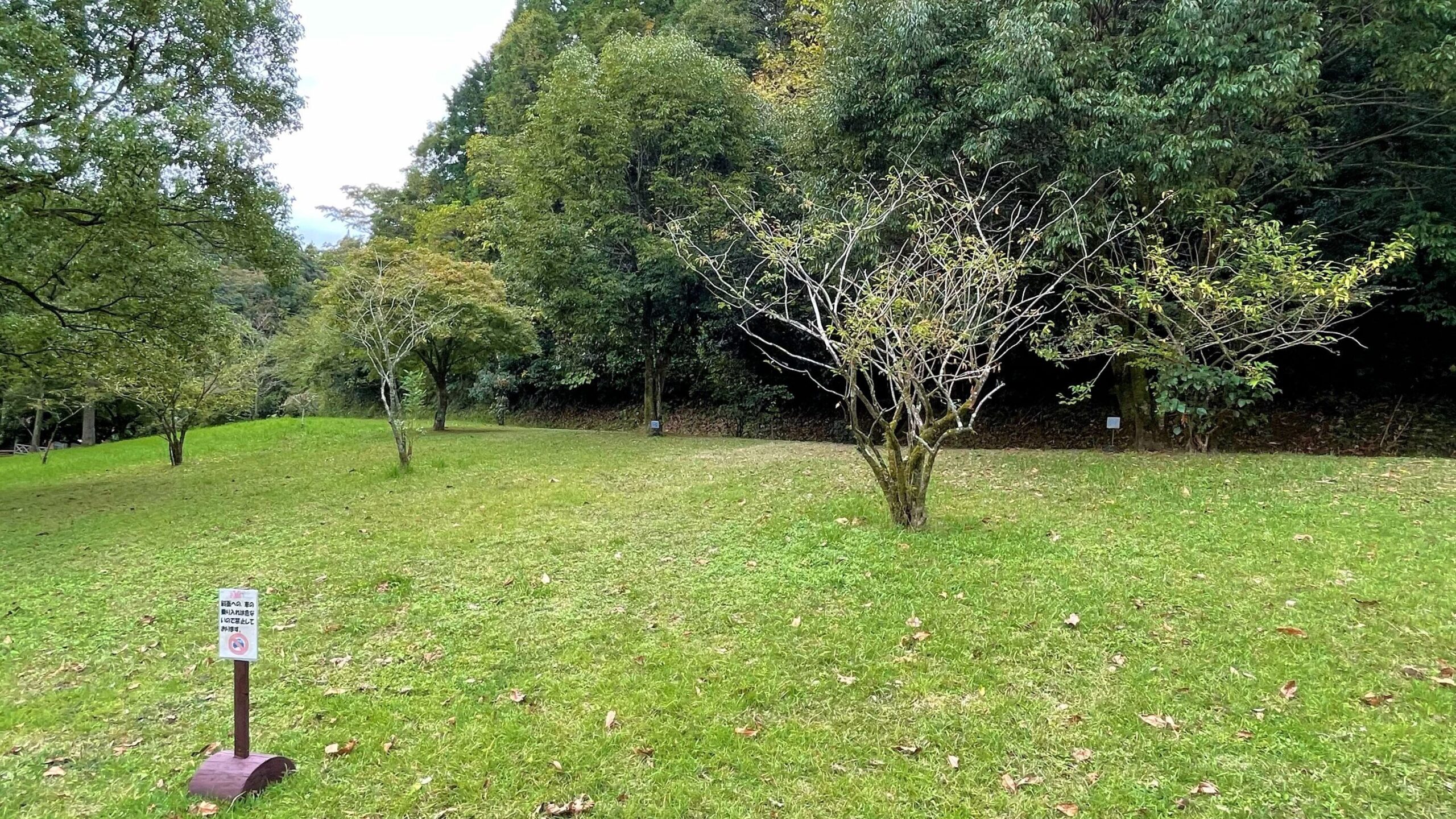 大隅広域公園キャンプ場フリーテントサイト