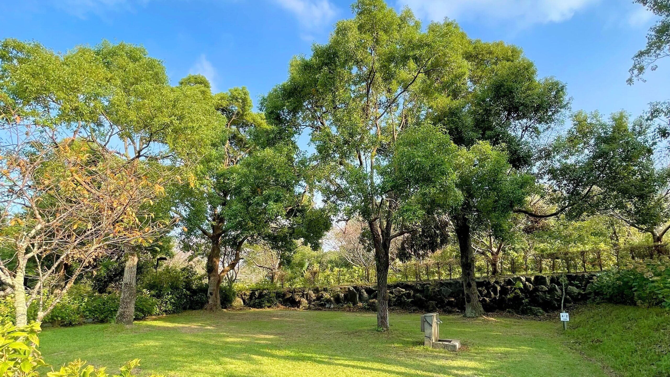 かいもん山麓ふれあい公園キャンプ場