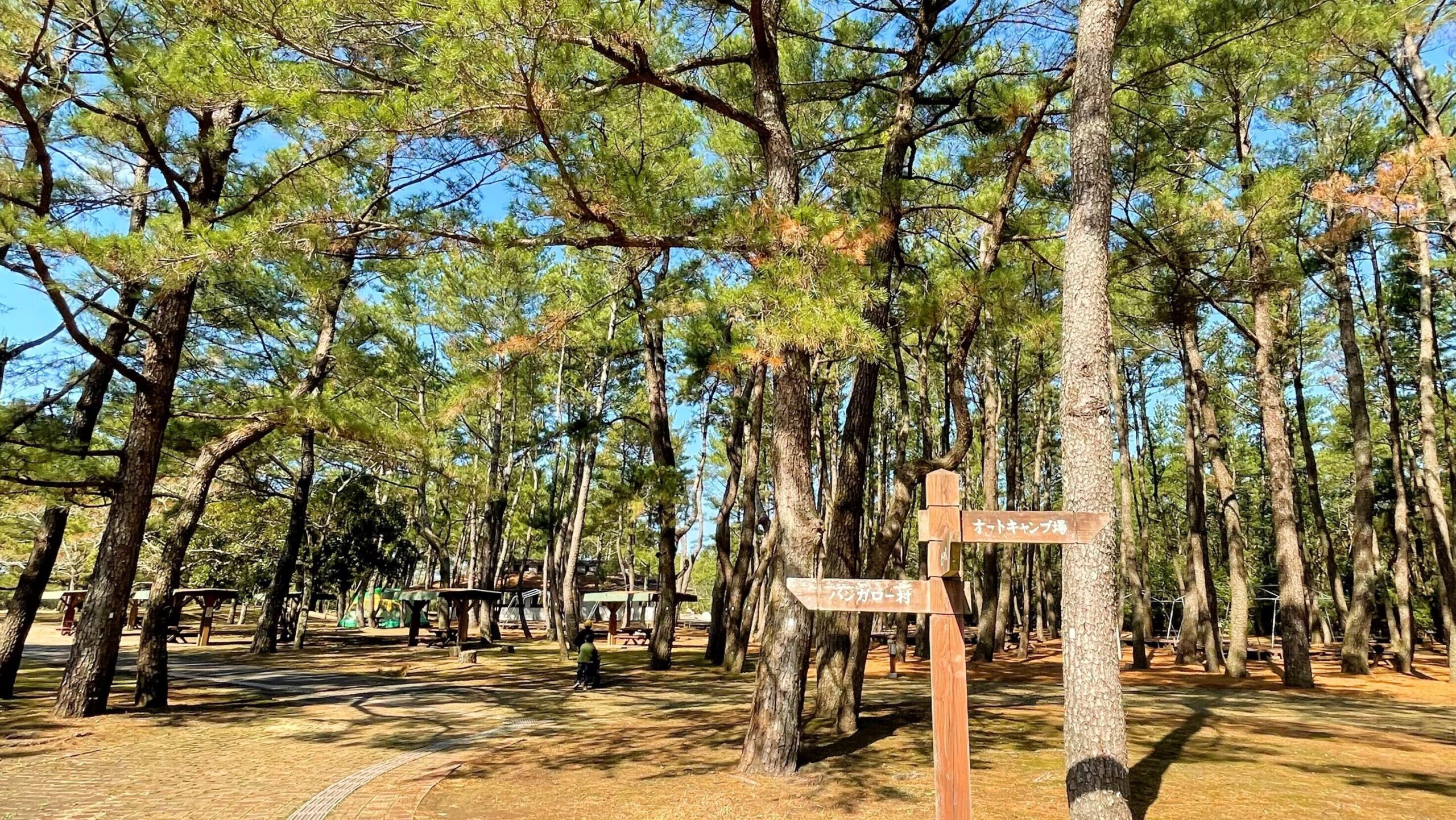 吹上浜海浜公園キャンプ場
