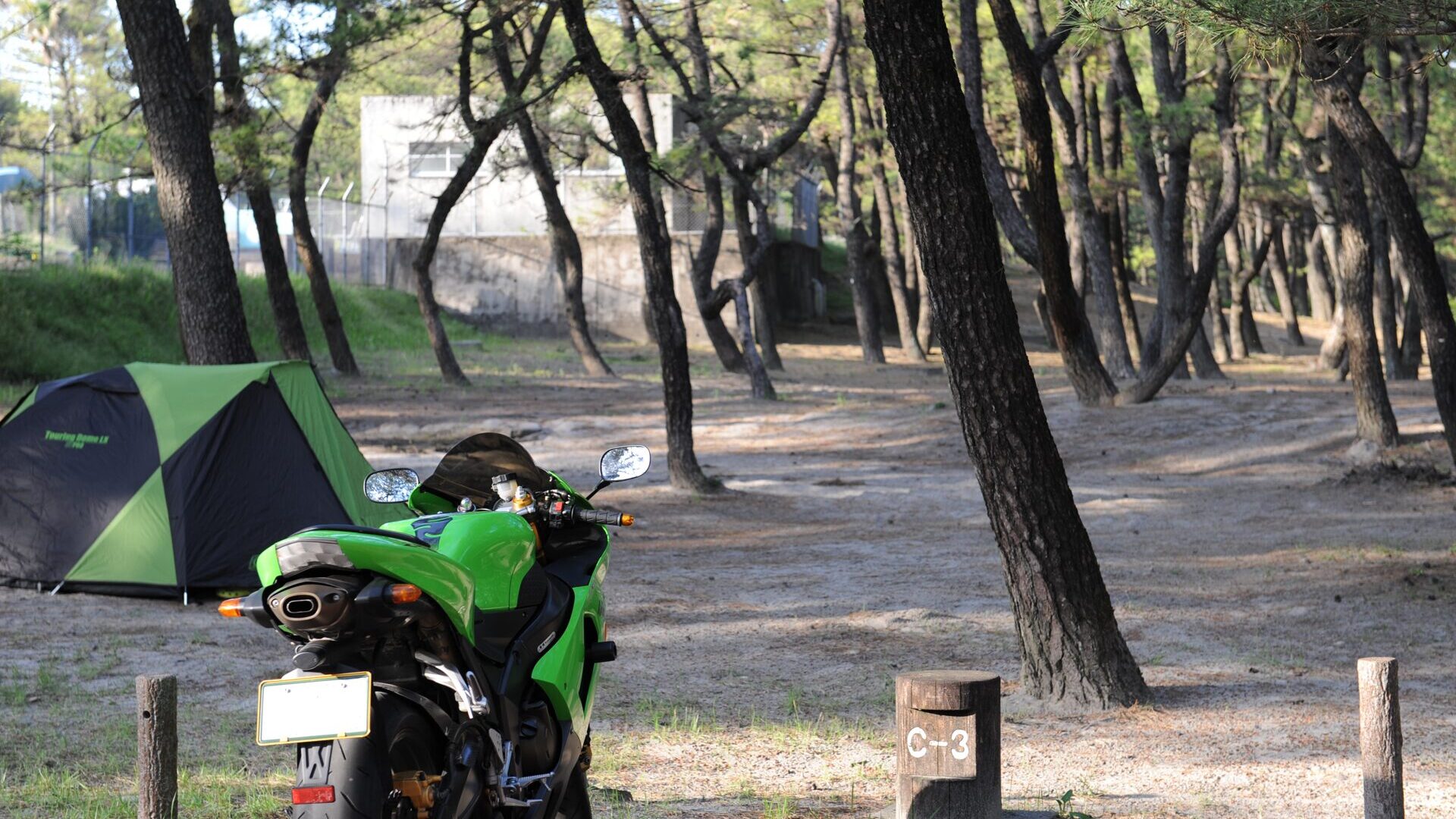 くにの松原キャンプ場
