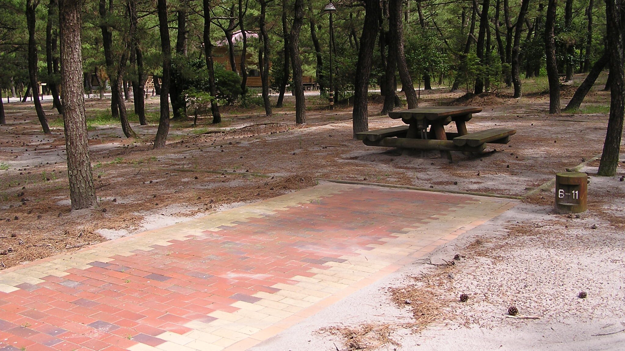 くにの松原キャンプ場