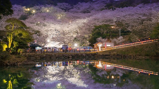 観音ヶ池市民の森