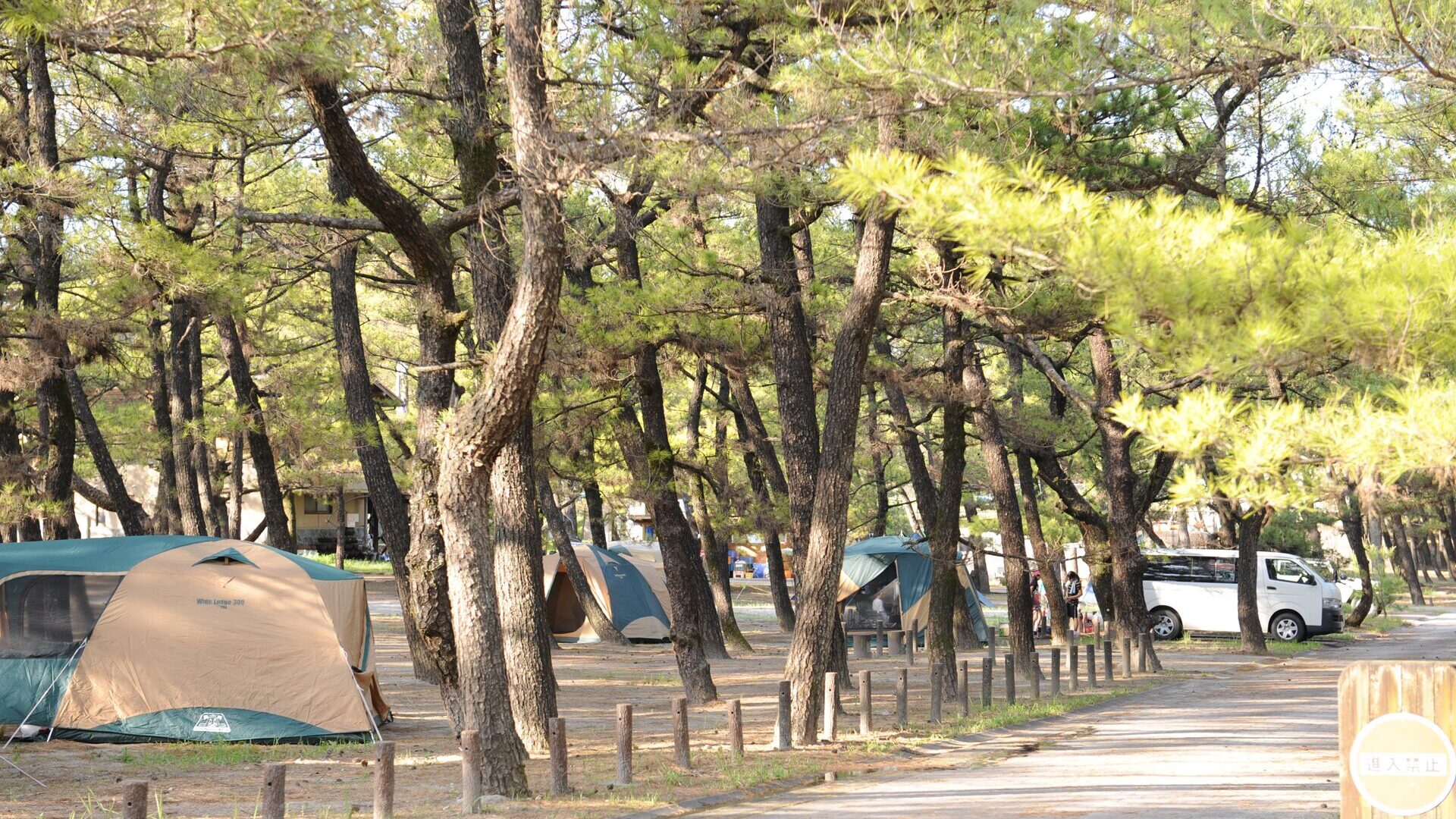 くにの松原キャンプ場