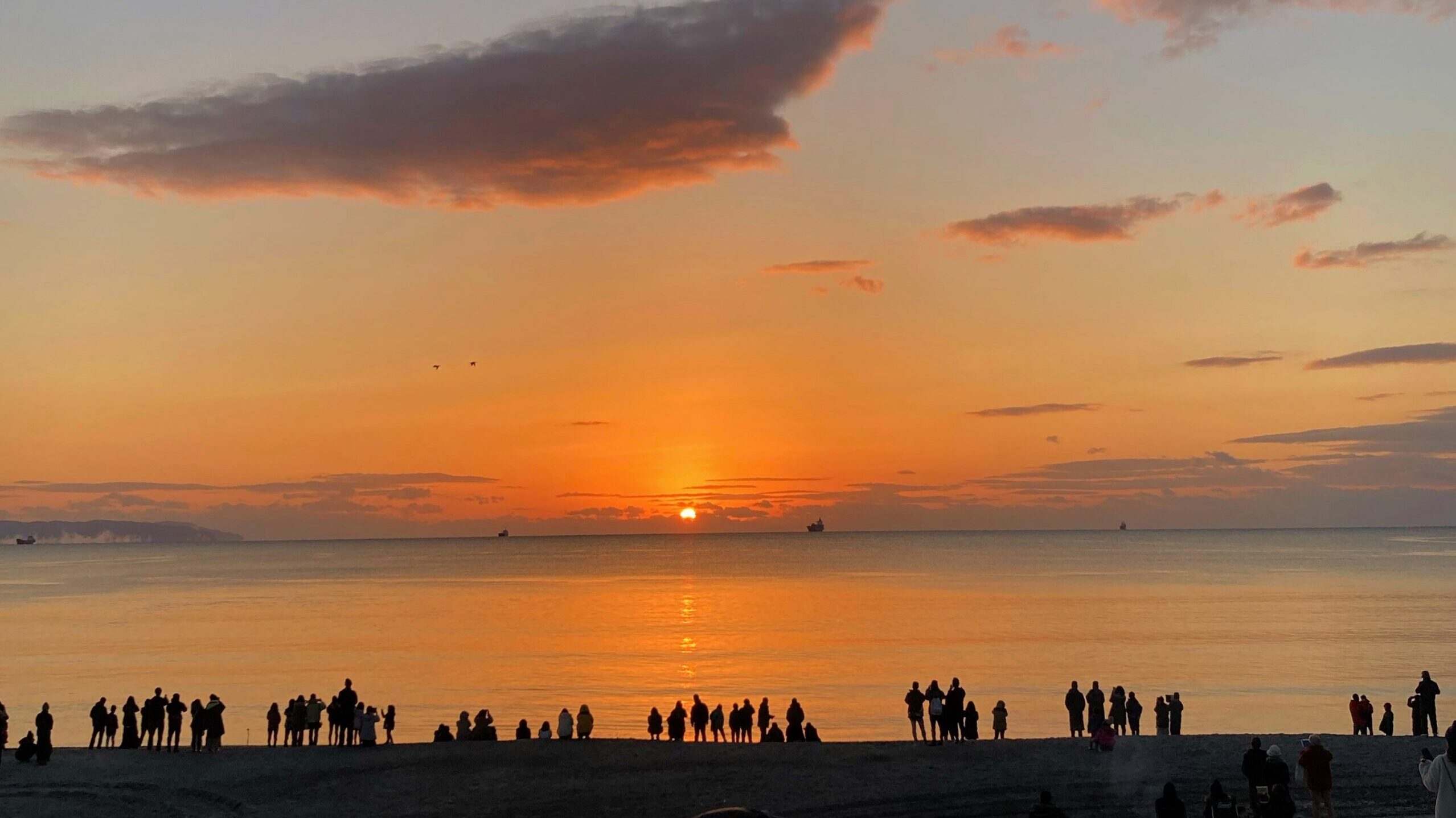 くにの松原キャンプ場