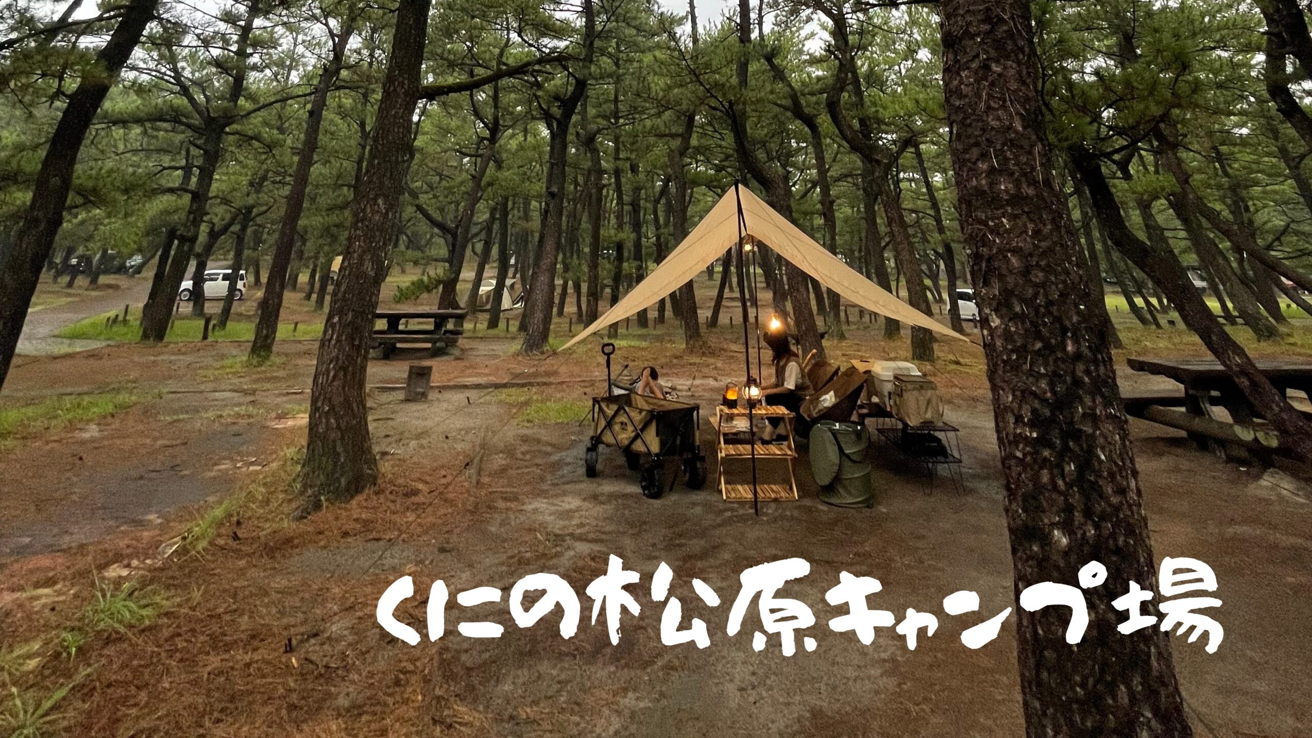くにの松原キャンプ場