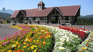 大隅広域公園花の広場