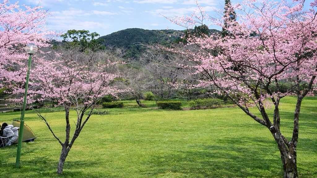 観音ヶ池市民の森