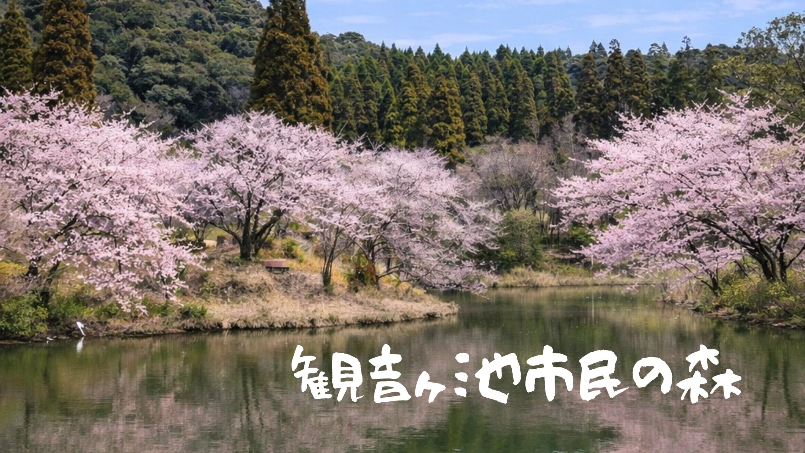 観音ヶ池市民の森