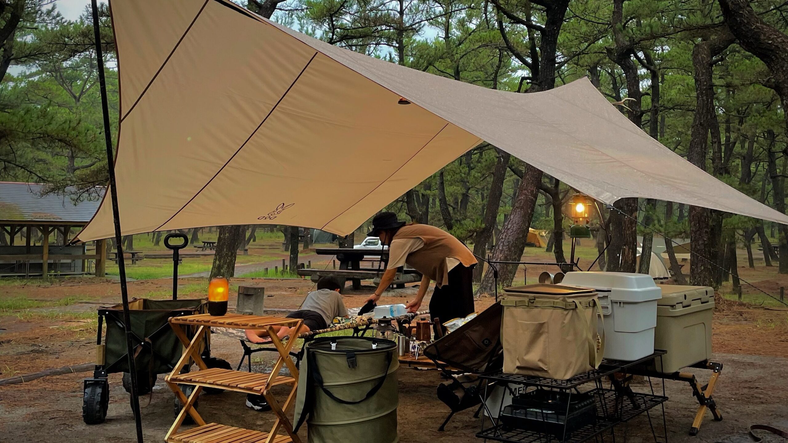 くにの松原キャンプ場