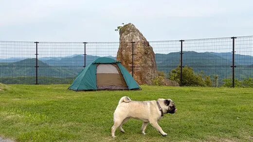 一番星キャンプ場