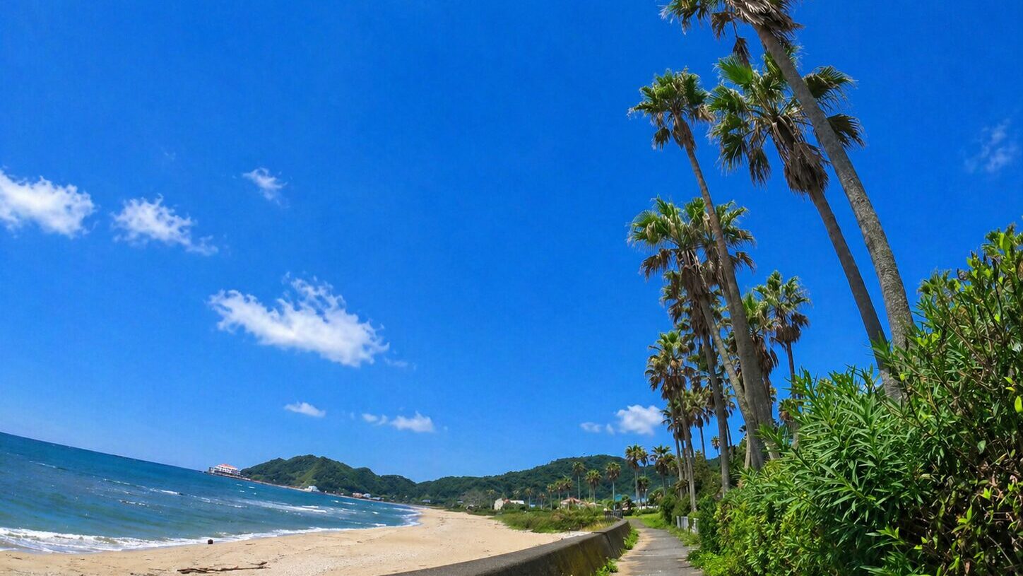 宮崎キャンプ場